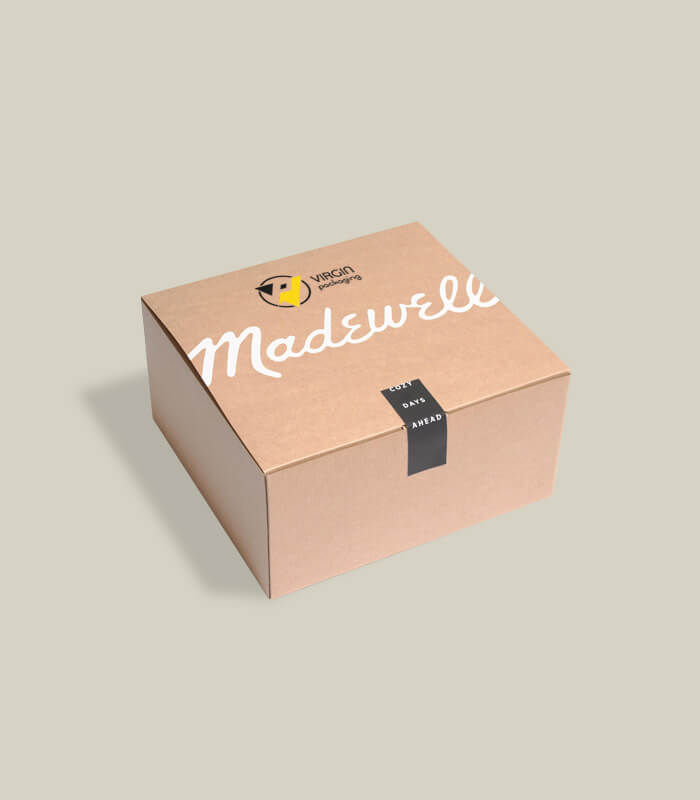 Mailer Delivery Box