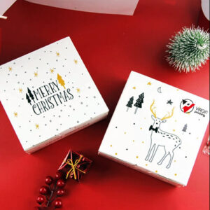 Christmas Packaging Boxes